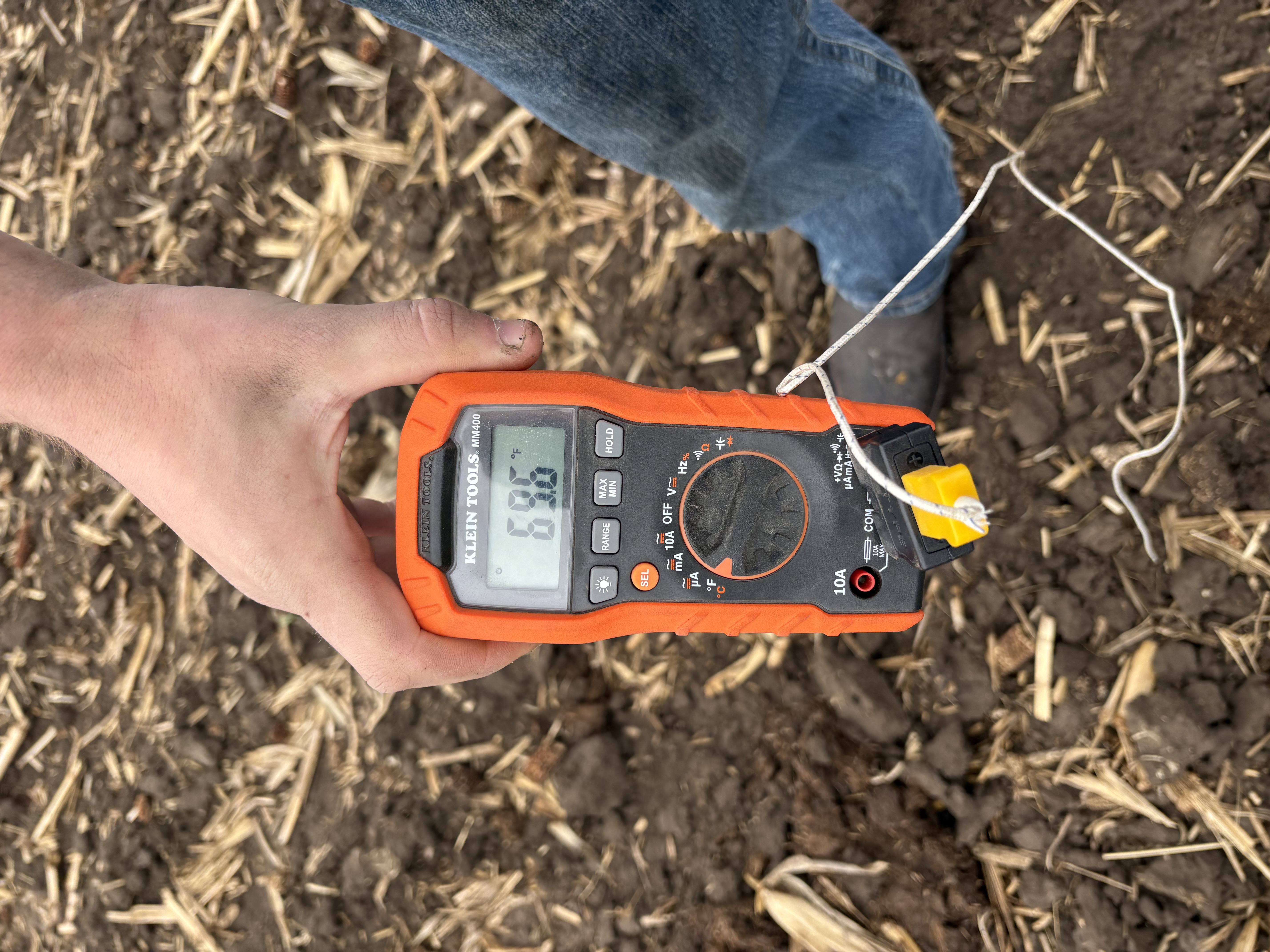 Field temperature meter reading 69.6 degrees Fahrenheit at a D-Comp treated observation point