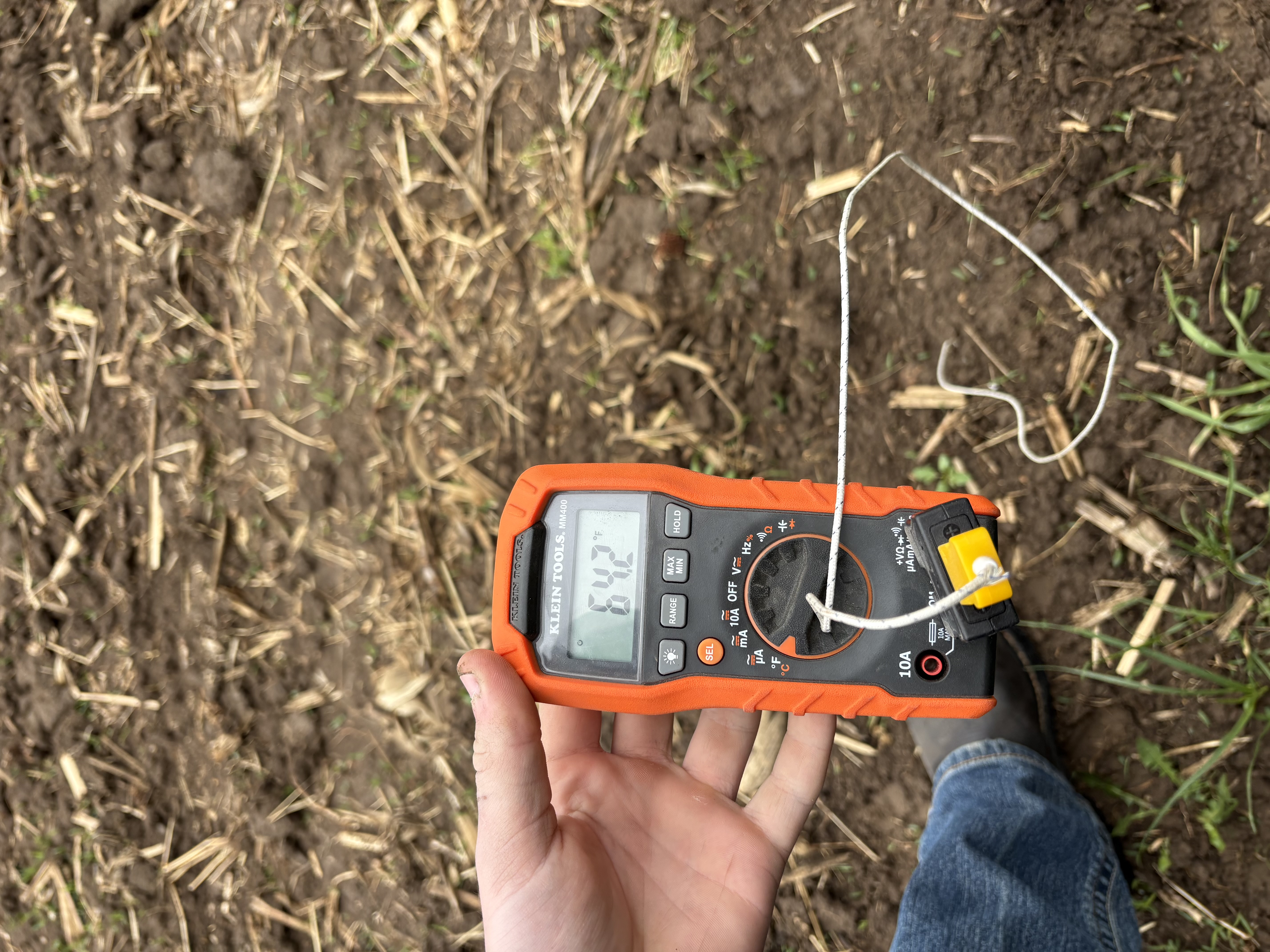 Field temperature meter reading 64.2 degrees Fahrenheit at an untreated observation point